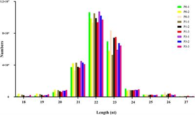 Characterization of microRNA Profiles in Pasteurella multocida-Infected Rabbits and Identification of miR-29-5p as a Regulator of Antibacterial Immune Response